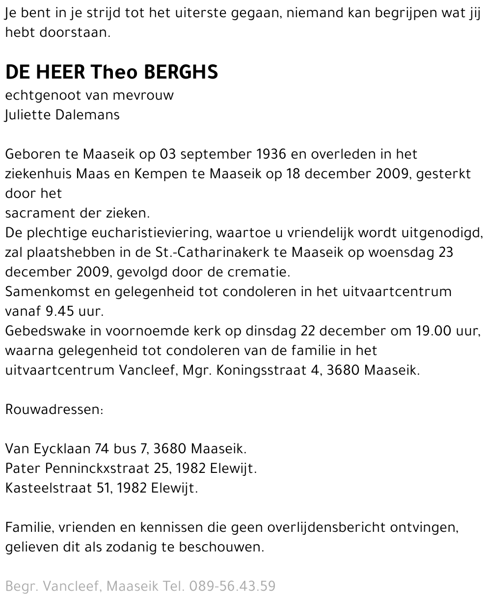 Theo berghs
