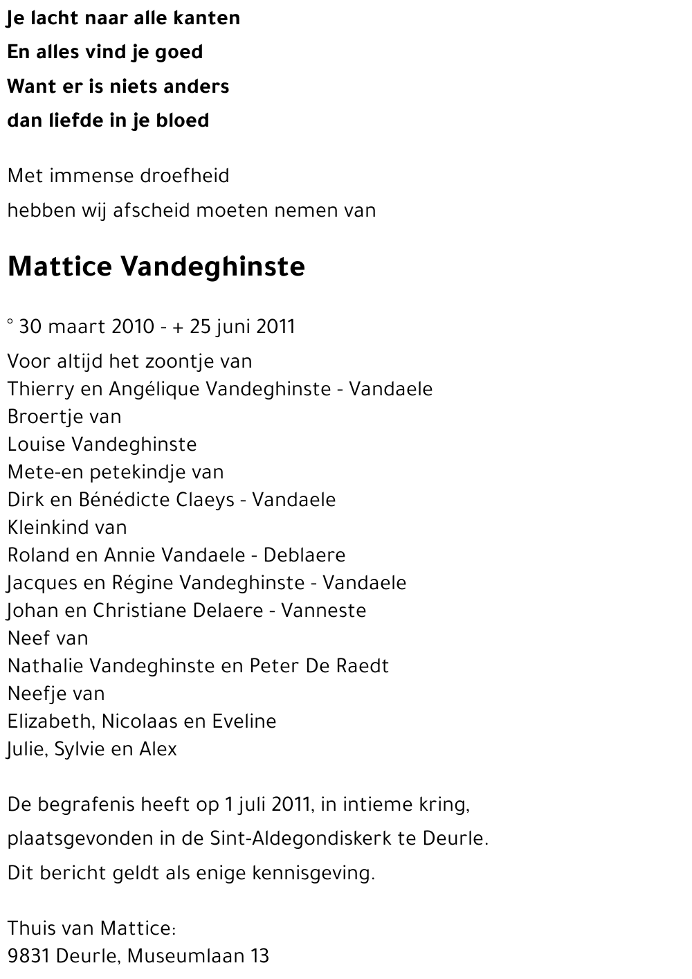 Mattice Vandeghinste