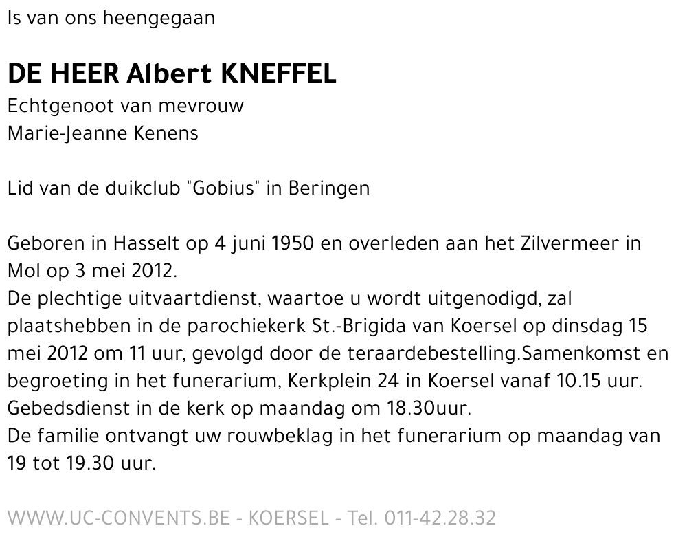 Albert Kneffel