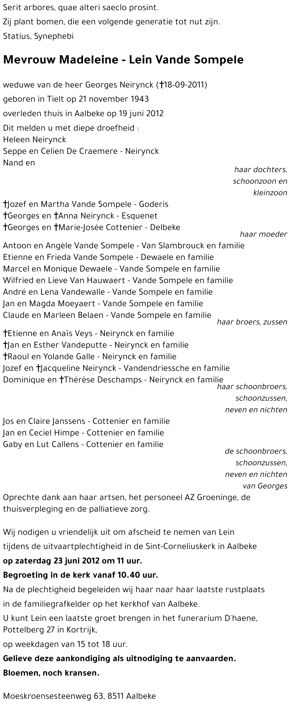 Madeleine - Lein Vande Sompele