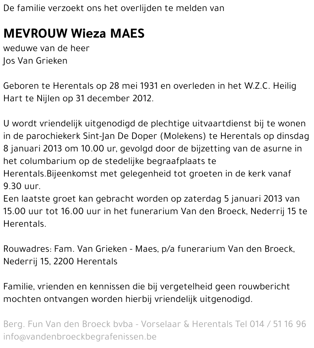 Wieza Maes