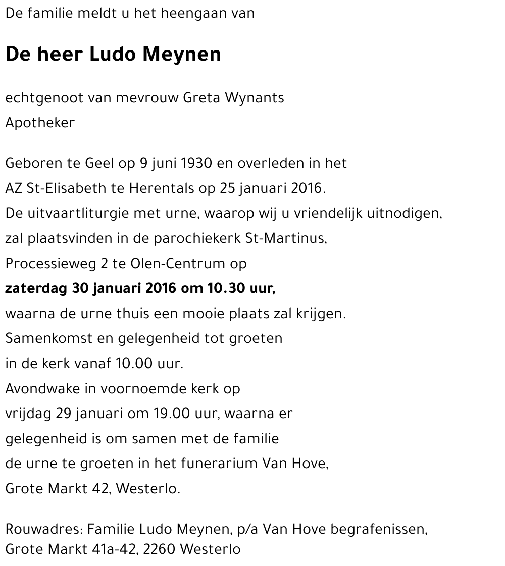 Ludo Meynen