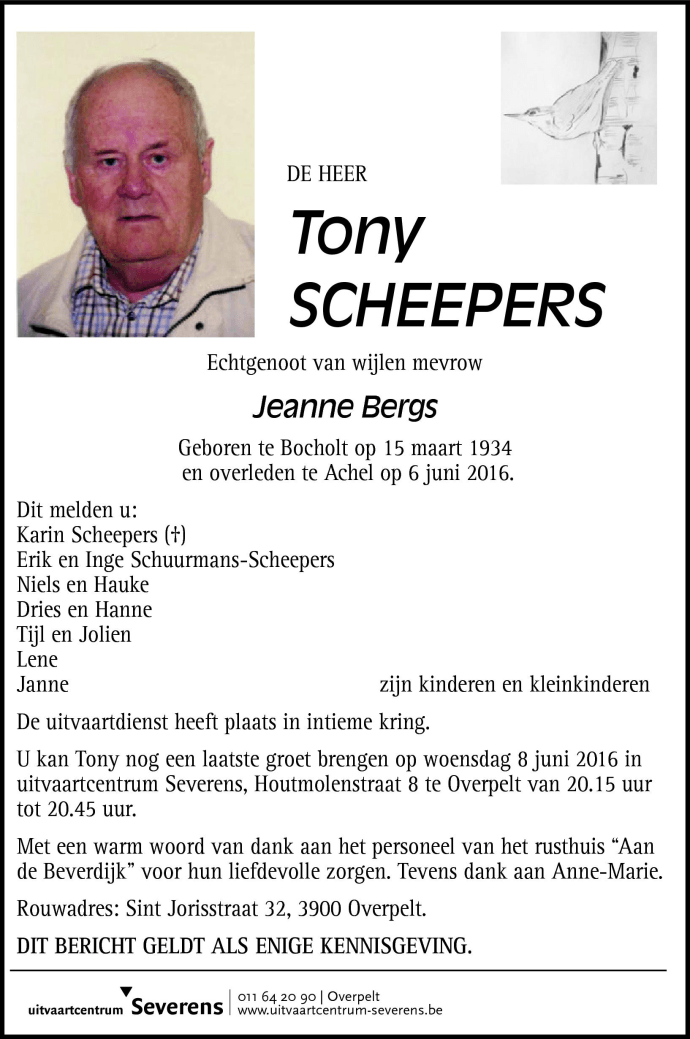 Tony Scheepers