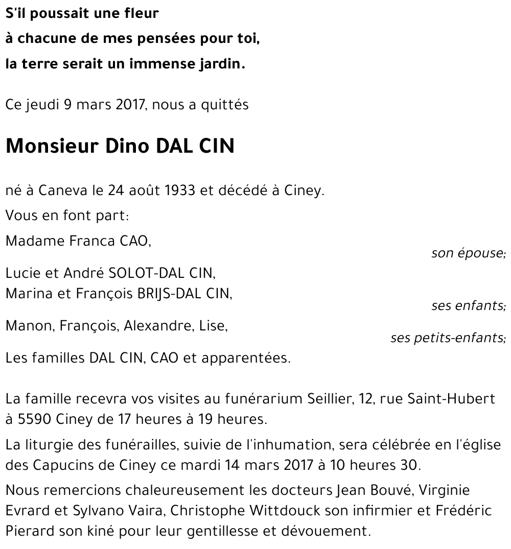 Dino DAL CIN