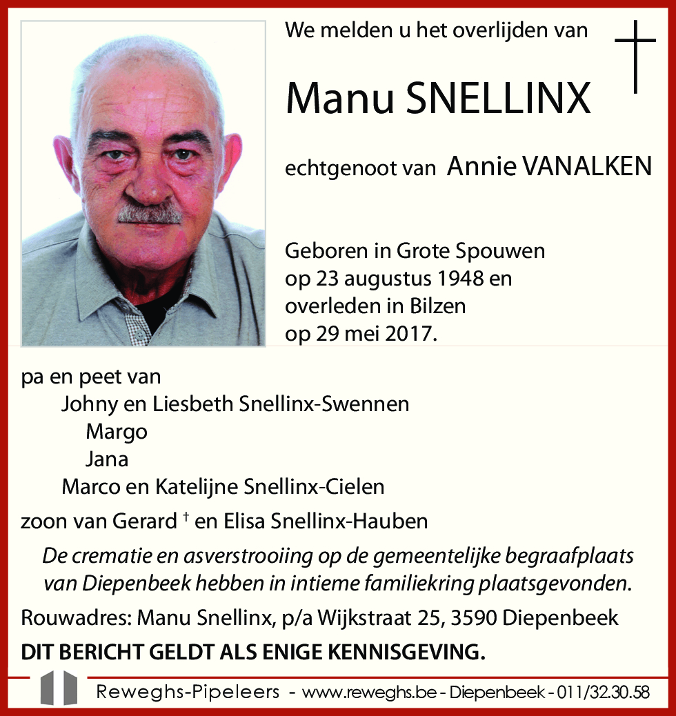 Manu Snellinx