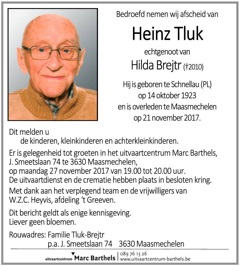 Heinz Tluk