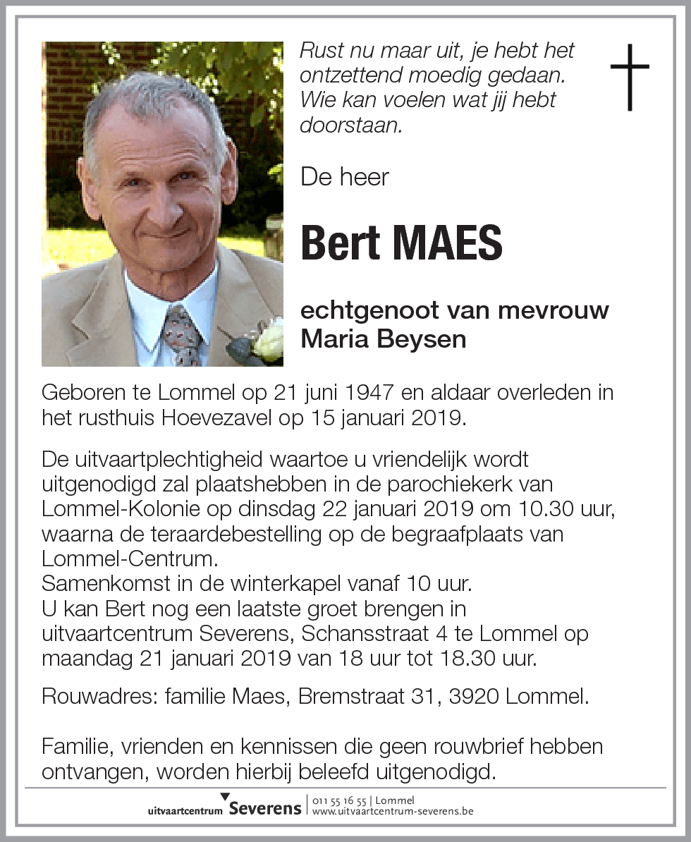 Bert Maes