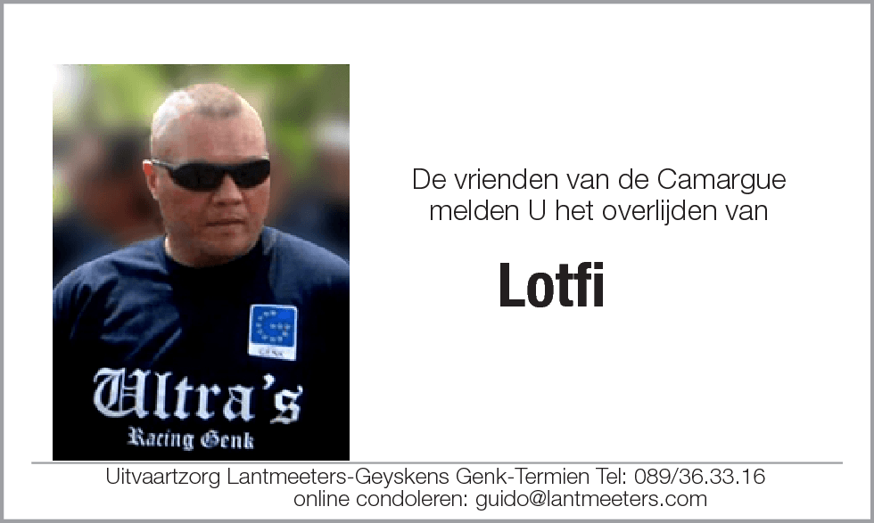 Lotfi IN 'T VELD