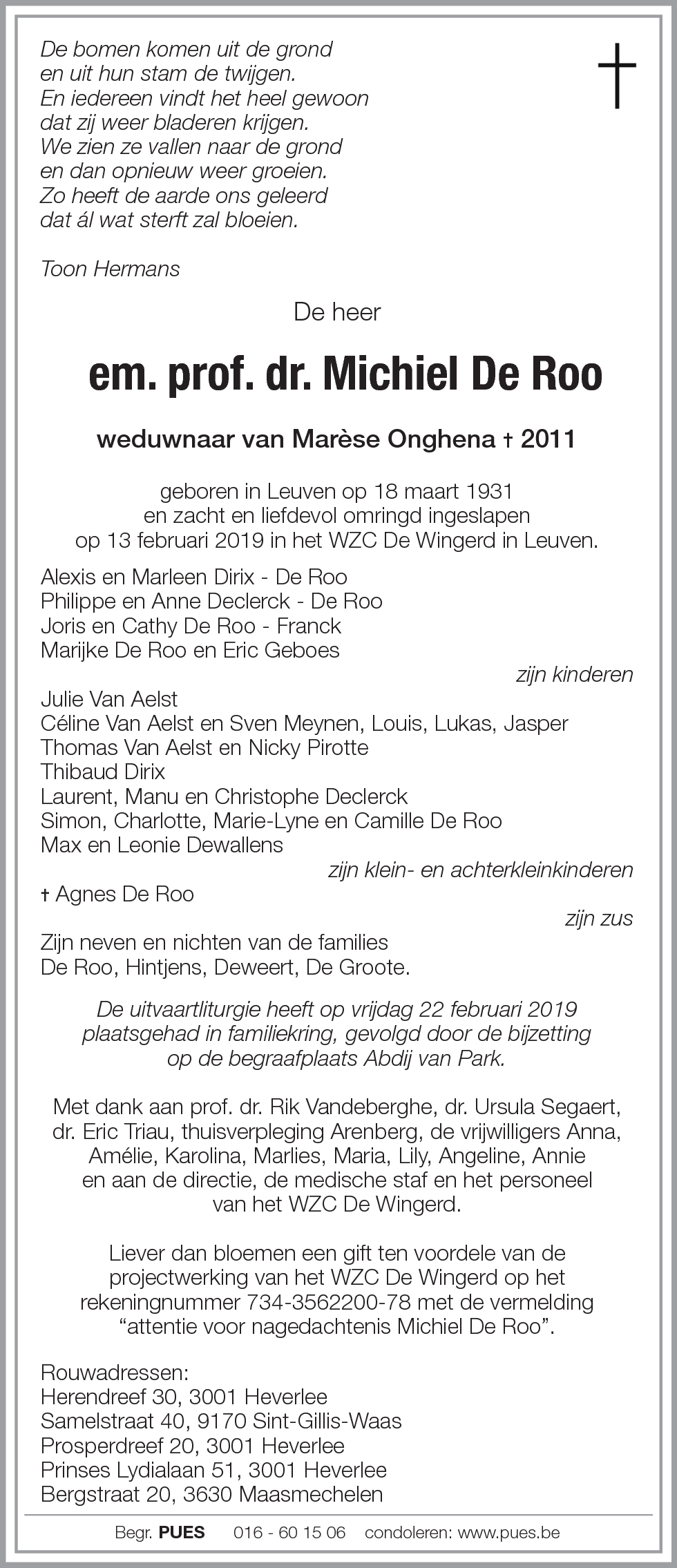 Michiel De Roo