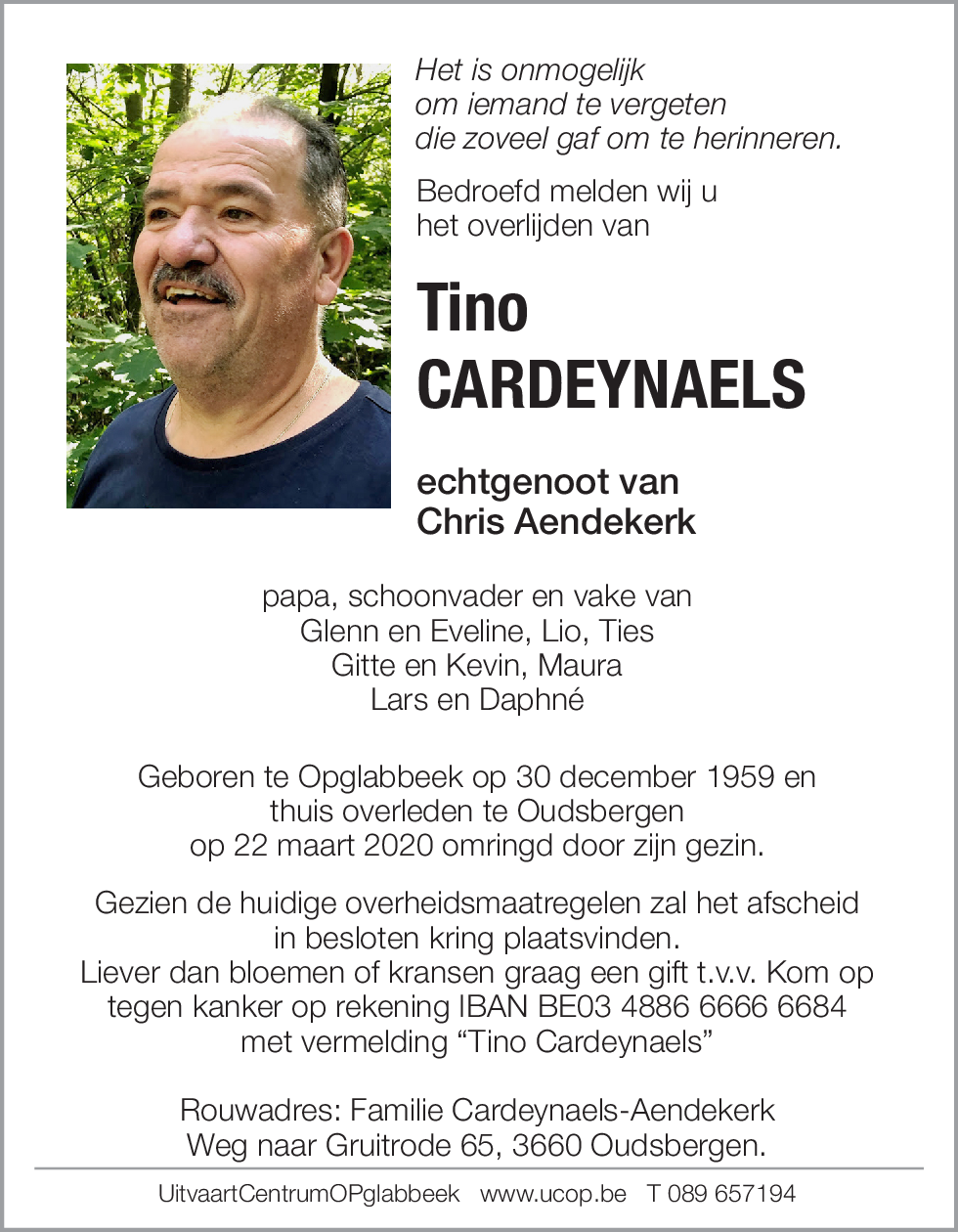 Tino Cardeynaels
