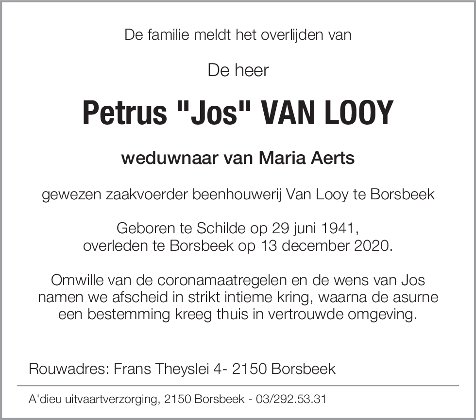 Petrus Van Looy