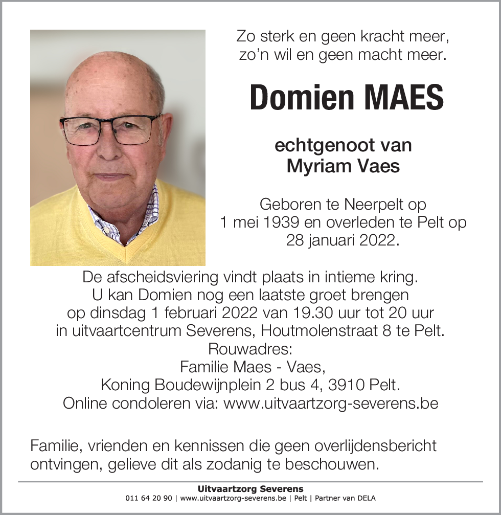 Domien Maes