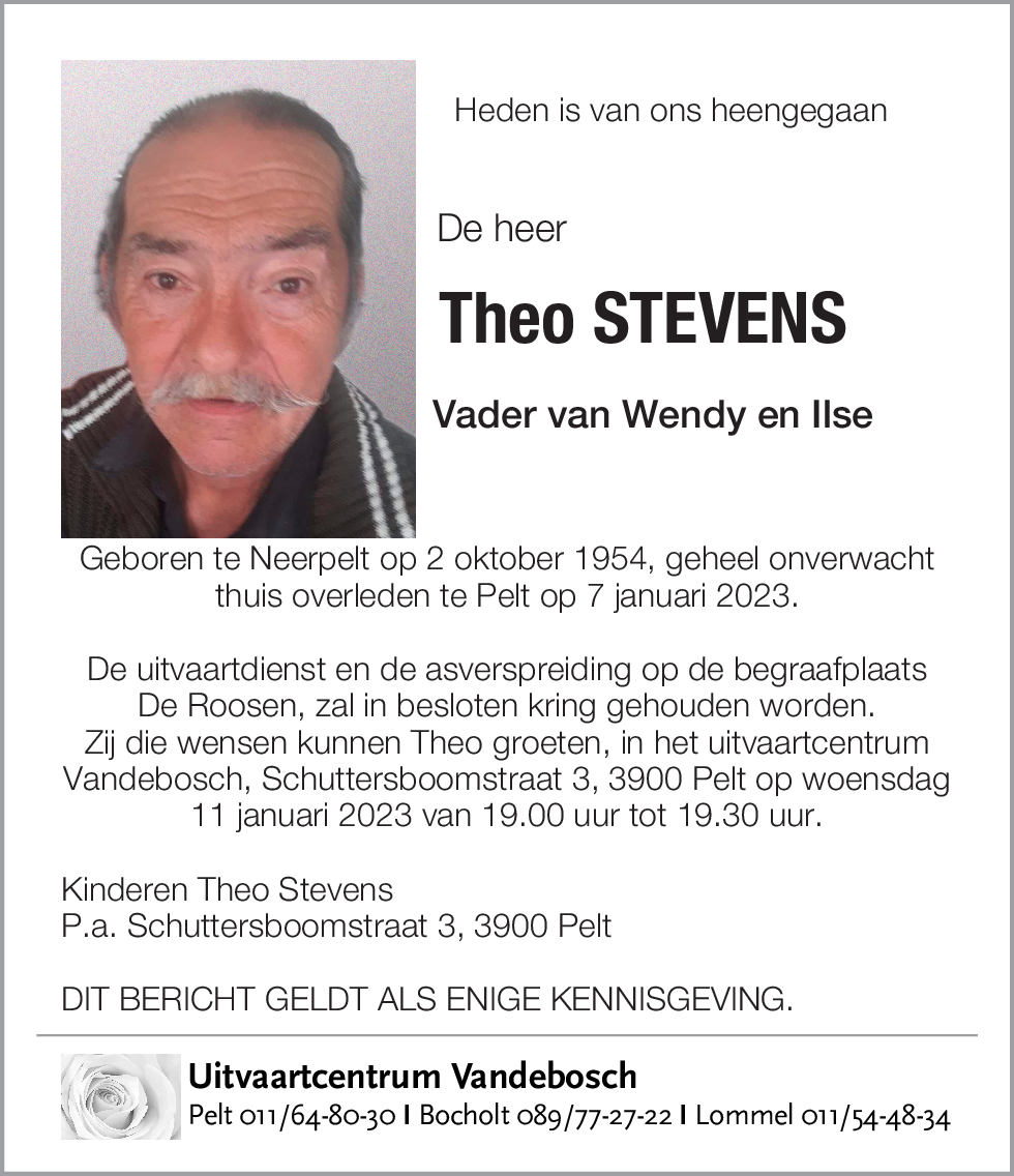 Theo Stevens