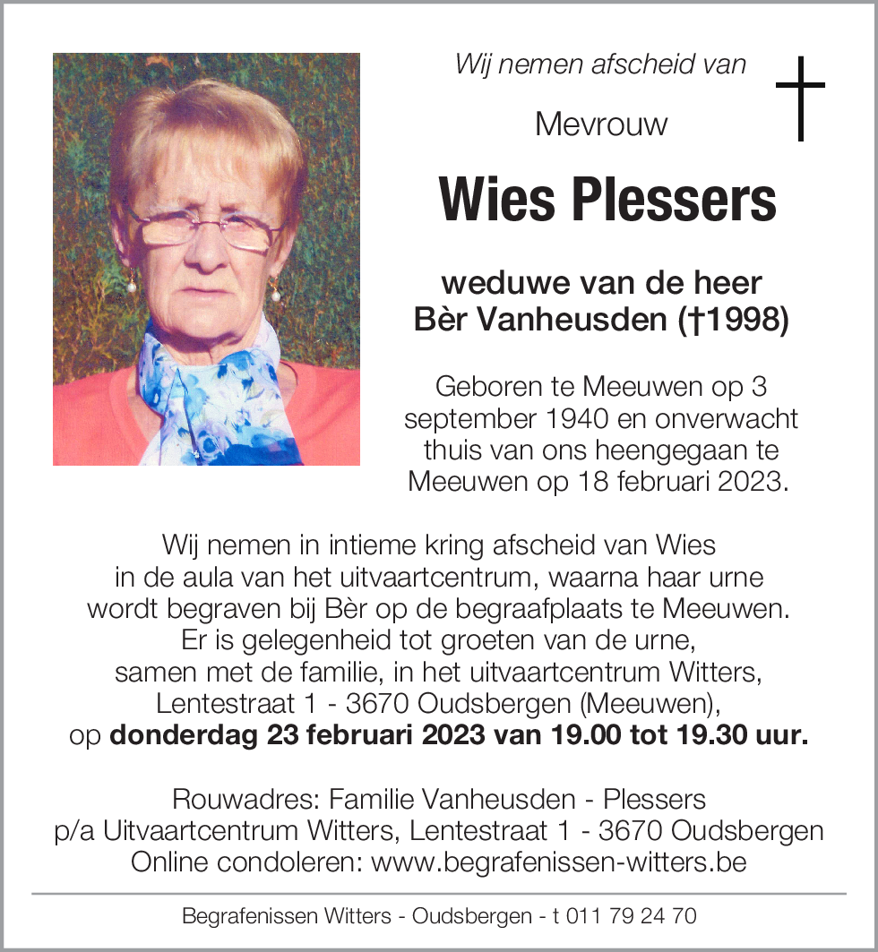 Wies Plessers