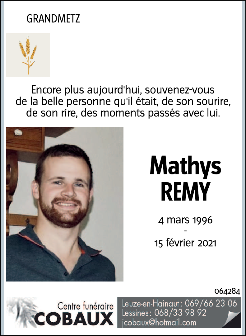 Mathys REMY