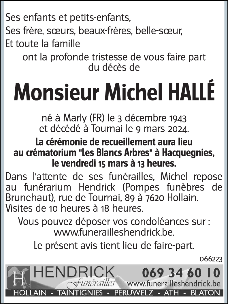 Michel Hallé