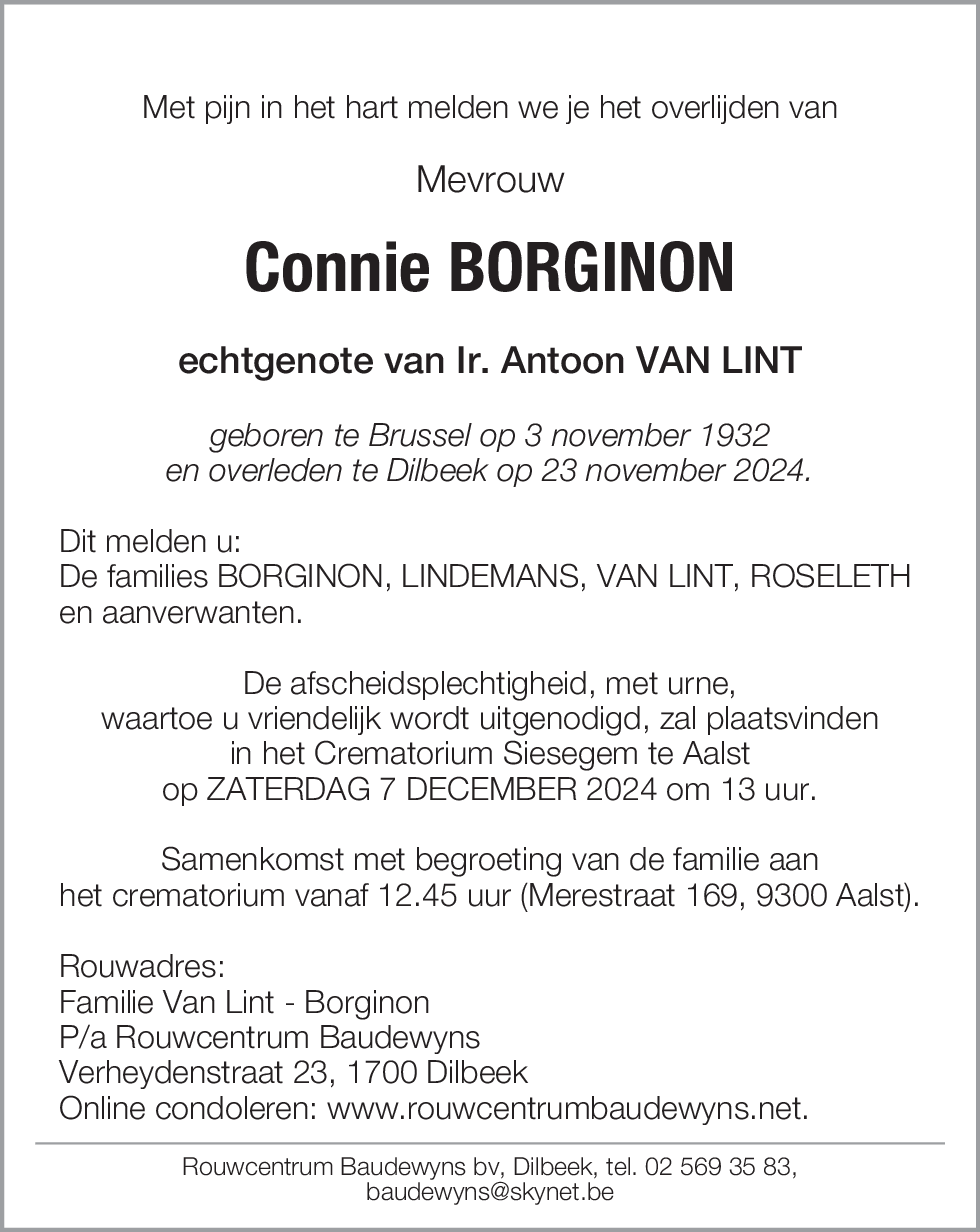 Connie Borginon