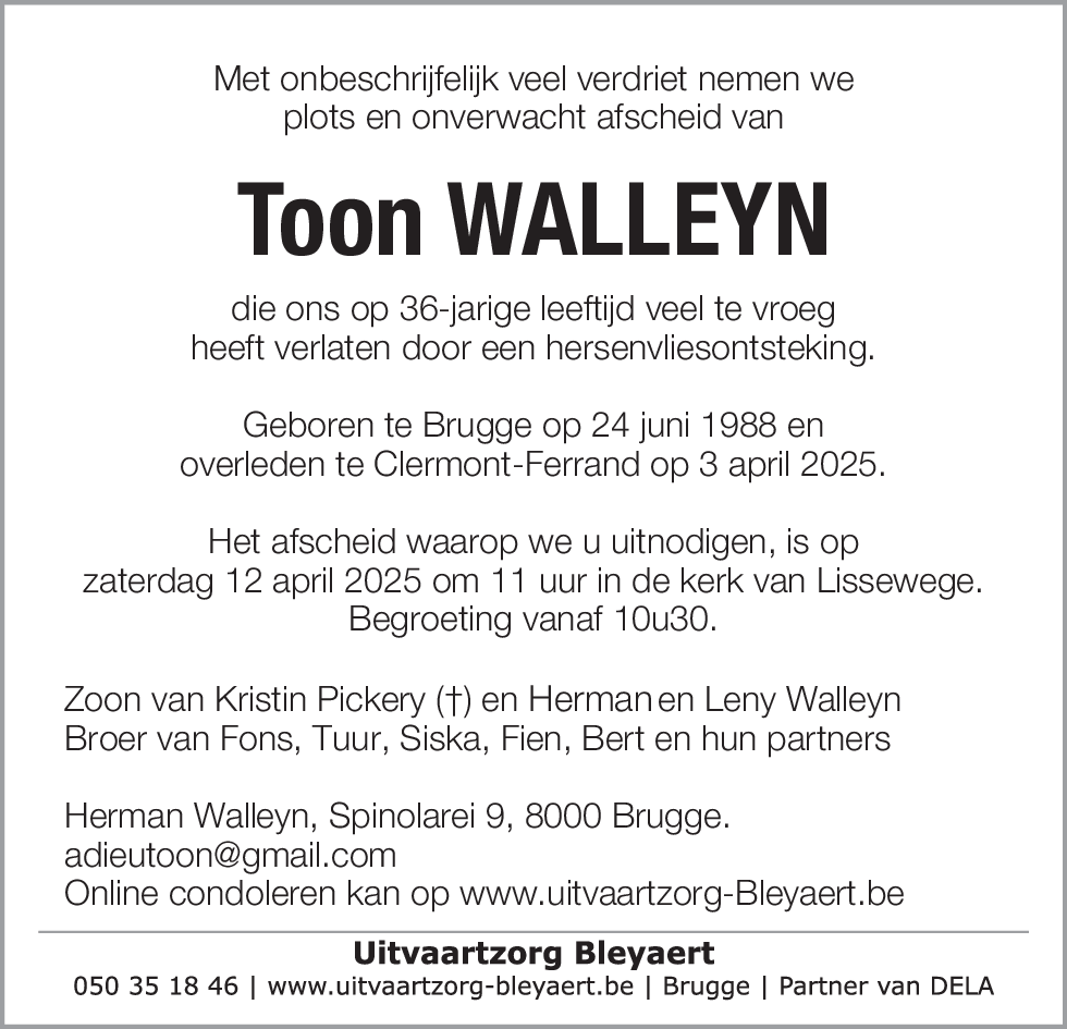 Toon Walleyn